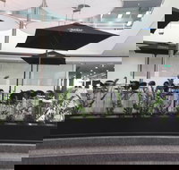 D Cafe - Accommodation Broadbeach