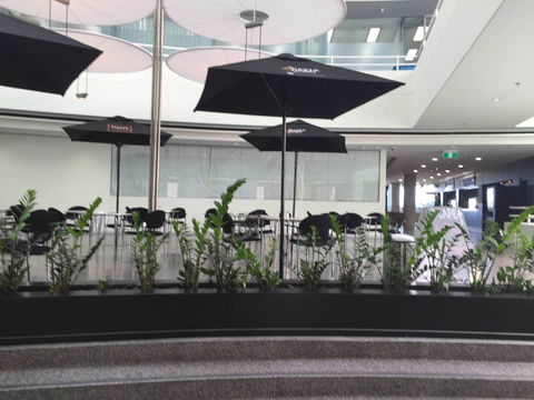 D Cafe - Accommodation Broadbeach 0