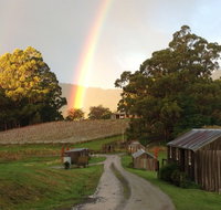 Hartzview Vineyard - Accommodation Broadbeach