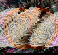 La Bouche - Accommodation Broadbeach