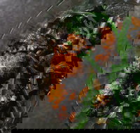 Shukah - Accommodation Broadbeach