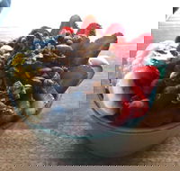 Green Remedy - Accommodation Broadbeach