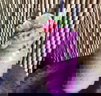 Jungle - Accommodation Broadbeach