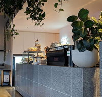 Pinkie - Accommodation Broadbeach