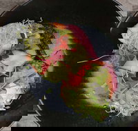 Crowded House - Accommodation Broadbeach