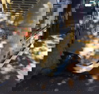 Kombi Koffein - Accommodation Broadbeach