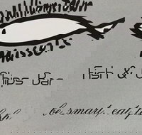 Williamstown Mussels - Accommodation Broadbeach