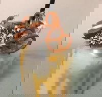 Where Ya Bean - Accommodation Broadbeach