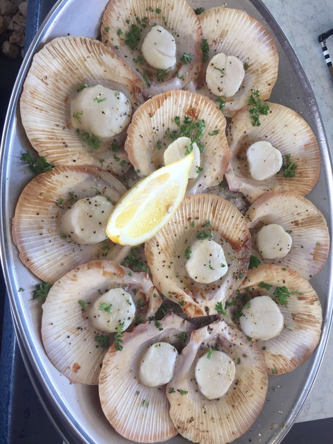 The Deck On Parkyn - Accommodation Broadbeach 0