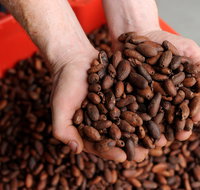 Zokoko Chocolate and Espresso Cafe - Accommodation Broadbeach