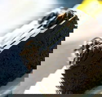 Noci Licensed Restaurant - Accommodation Broadbeach