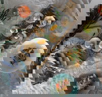 Peats Bite Restaurant - Accommodation Broadbeach