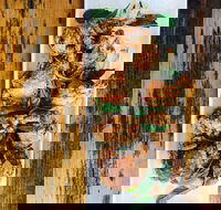 The River Hotel - Accommodation Broadbeach