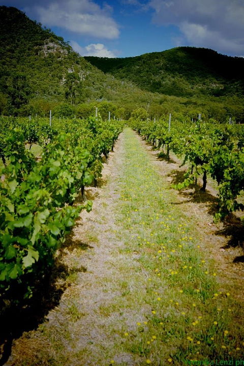 Gartelmann Wines - Accommodation Broadbeach 0