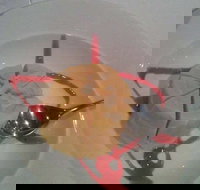 Indian Garden Restaurant - Accommodation Broadbeach