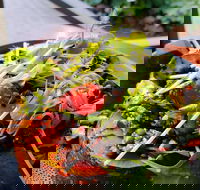 The Berry Farm Cottage Caf - Accommodation Broadbeach