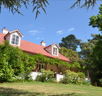 Lazy Teas - Accommodation Broadbeach