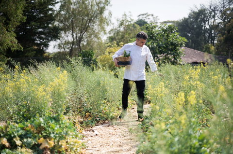 The Wild Flower Bar And Dining - Accommodation Broadbeach 2