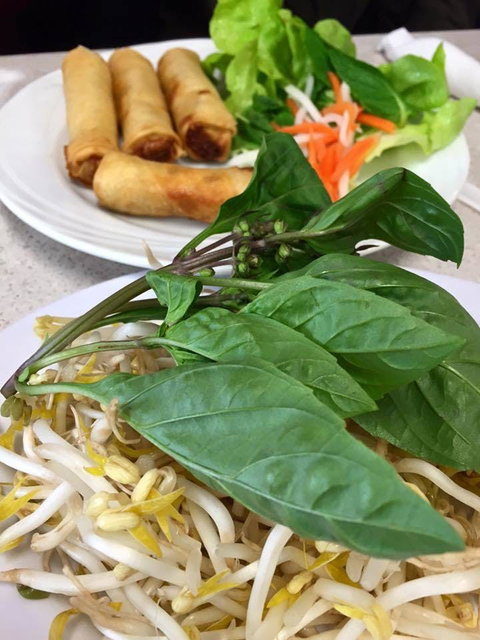 PHO 234 - Accommodation Broadbeach 0