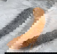 Blue Ocean - Accommodation Broadbeach