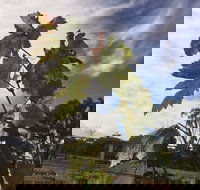 Banca Ridge Cellar Door and Vineyard - Accommodation Broadbeach