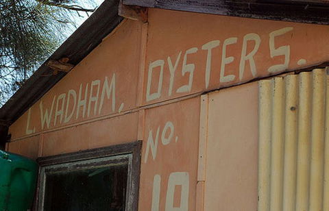 Les Wadham Oysters - Broken Bay Pacific Oysters - Accommodation Broadbeach 0