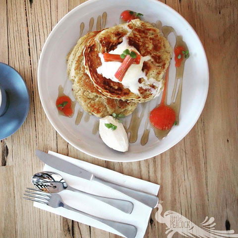 Little Peacock - Accommodation Broadbeach 0