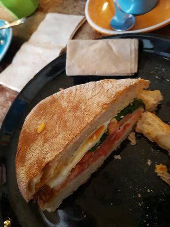 A Man And His Monkey - Accommodation Broadbeach 0