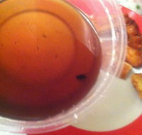 Labrador Chinese Restaurant - Accommodation Broadbeach