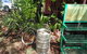Larrimah Pink Panther Hotel - thumb 0