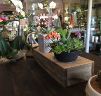 Manic Botanic Cafe - Accommodation Broadbeach