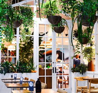 Ivy  Lark - Accommodation Broadbeach
