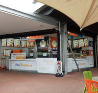 Fins  Feathers - Accommodation Broadbeach