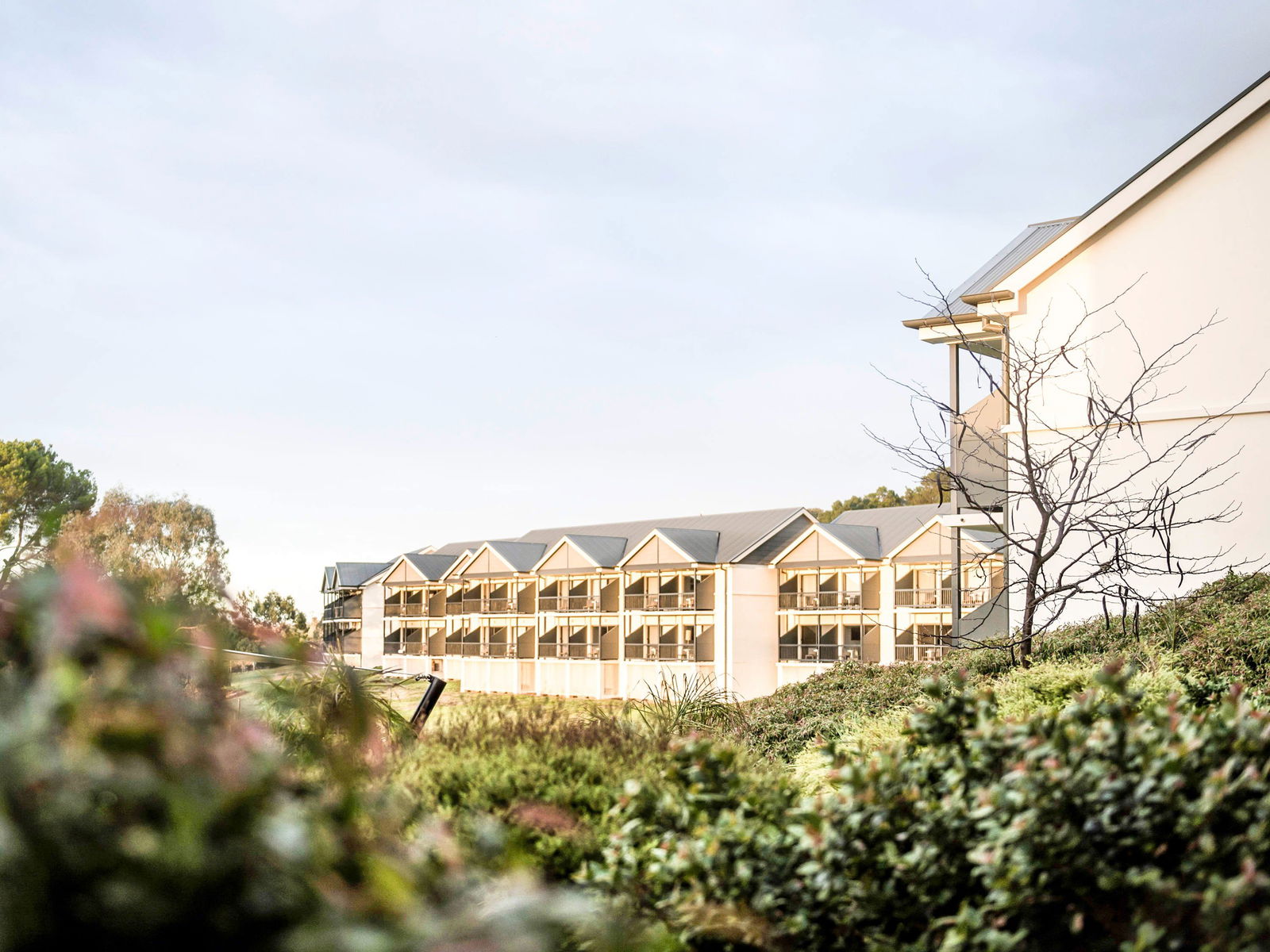 Australia Plains SA Accommodation Broadbeach