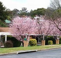 White Lanterns Motel - Accommodation Broadbeach