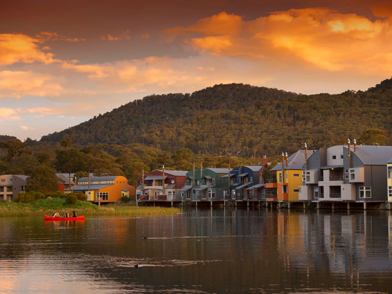 Adelong NSW Accommodation Broadbeach