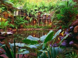 Daintree Eco Lodge & Spa - Accommodation Broadbeach 0