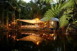 Daintree Eco Lodge & Spa - Accommodation Broadbeach 2
