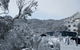 Attunga Alpine Lodge - thumb 0