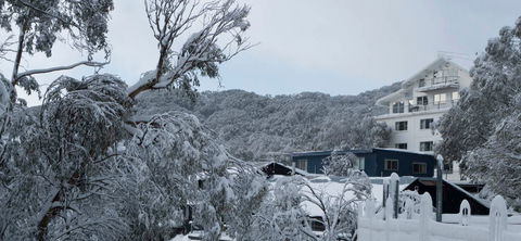 Attunga Alpine Lodge - Accommodation Broadbeach 0