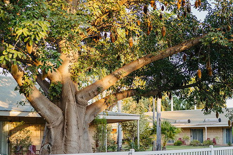 Kimberley Grande Resort & Conf Ctr - Accommodation Broadbeach 0