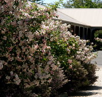 Wine Village Motor Inn - Accommodation Broadbeach