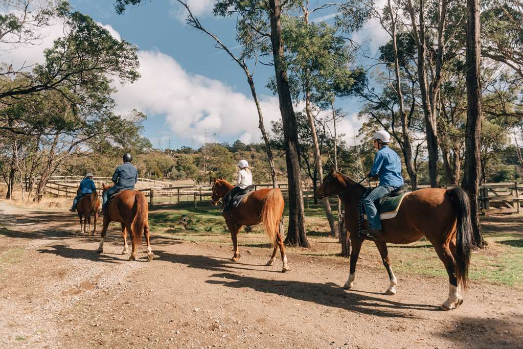 South Launceston TAS Accommodation Broadbeach