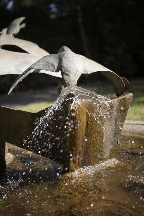 University House - ANU - Accommodation Broadbeach 30