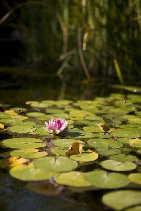 University House - ANU - Accommodation Broadbeach 35