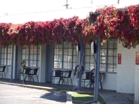 Guichen Bay Motel - Accommodation Broadbeach 23