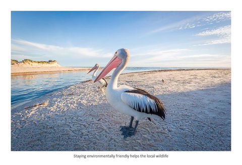 Adelaide Luxury Beach House - Accommodation Broadbeach 25