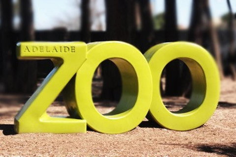 Executive 3 Bedroom Apartment + Internet + Parking - Accommodation Broadbeach 44