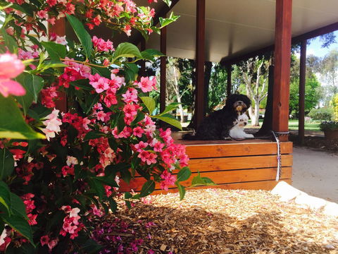 Armidale Tourist Park - Accommodation Broadbeach 34