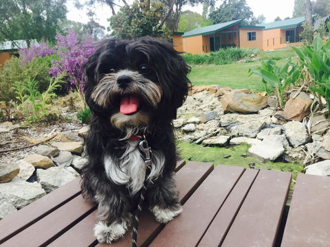 Armidale Tourist Park - Accommodation Broadbeach 32